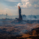 View of a burnt area of forest in Altamira, Para state, Brazil, oin the Amazon basin, on August 27, 2019.